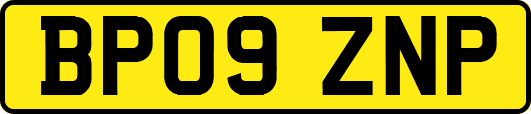 BP09ZNP
