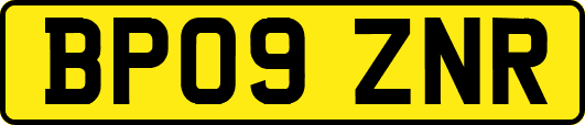 BP09ZNR