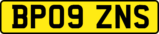 BP09ZNS