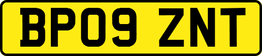 BP09ZNT