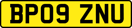 BP09ZNU