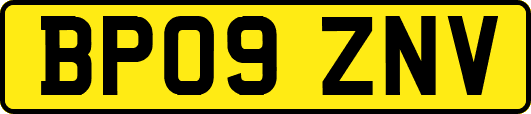 BP09ZNV