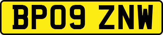 BP09ZNW