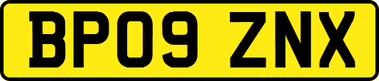 BP09ZNX