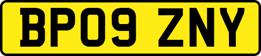 BP09ZNY