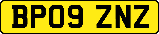 BP09ZNZ