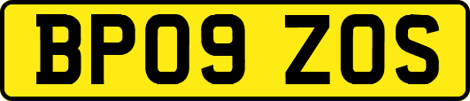 BP09ZOS