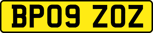 BP09ZOZ