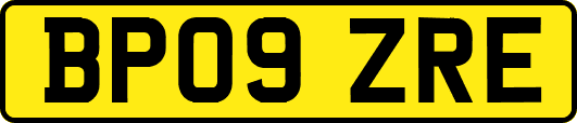 BP09ZRE