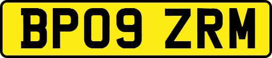 BP09ZRM