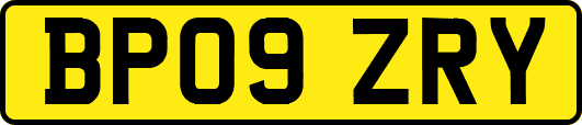 BP09ZRY