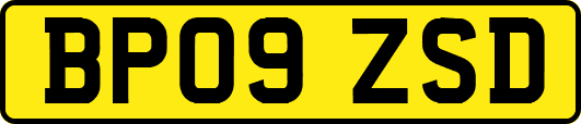 BP09ZSD