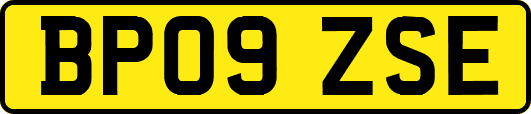 BP09ZSE