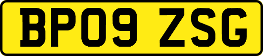 BP09ZSG