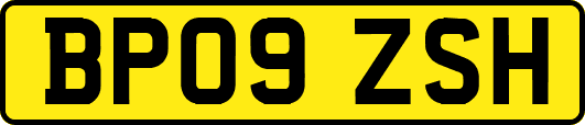 BP09ZSH