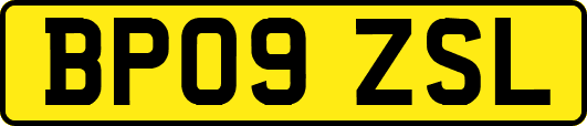 BP09ZSL