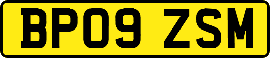 BP09ZSM