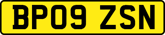 BP09ZSN