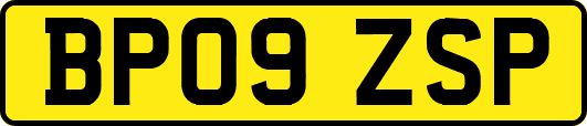 BP09ZSP
