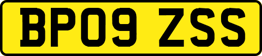 BP09ZSS