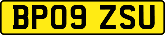 BP09ZSU