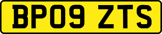 BP09ZTS
