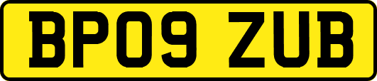 BP09ZUB