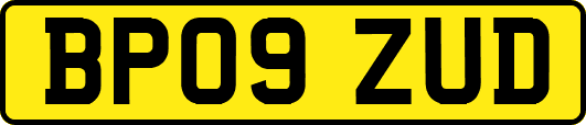 BP09ZUD