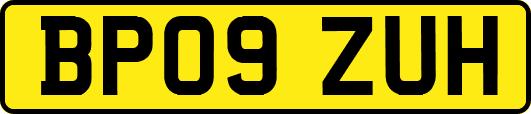 BP09ZUH