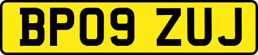 BP09ZUJ