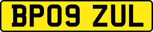 BP09ZUL