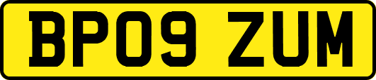 BP09ZUM