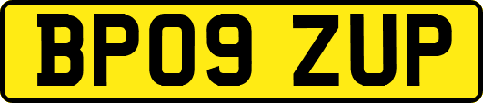 BP09ZUP