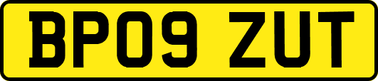 BP09ZUT