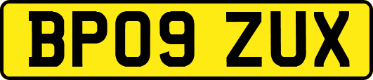 BP09ZUX