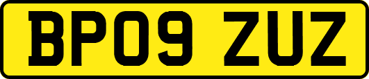 BP09ZUZ