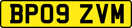 BP09ZVM