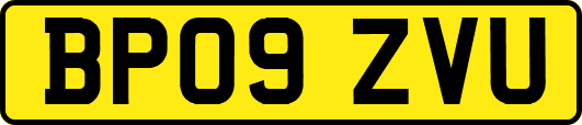 BP09ZVU