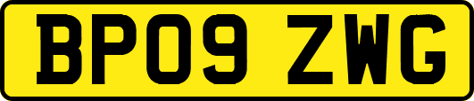 BP09ZWG