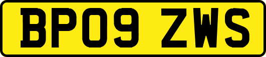 BP09ZWS