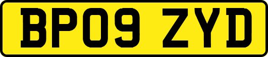 BP09ZYD