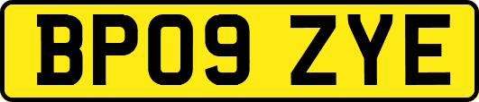 BP09ZYE
