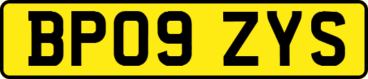 BP09ZYS
