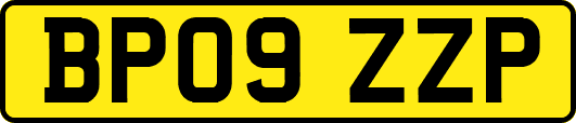 BP09ZZP
