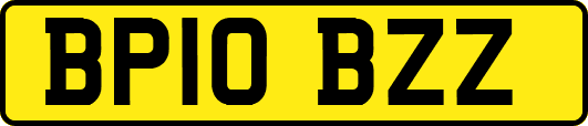 BP10BZZ