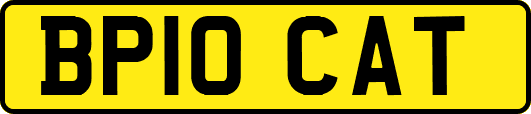 BP10CAT