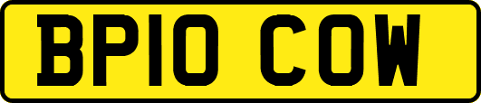 BP10COW