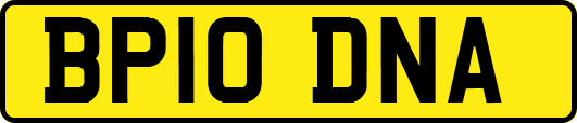 BP10DNA