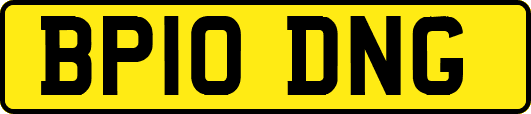 BP10DNG