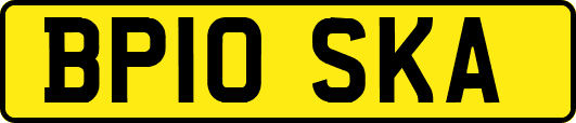 BP10SKA